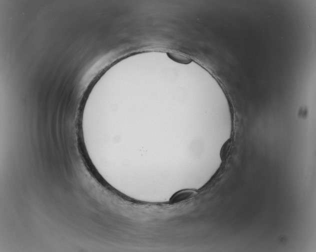 X0000116130007200912211725