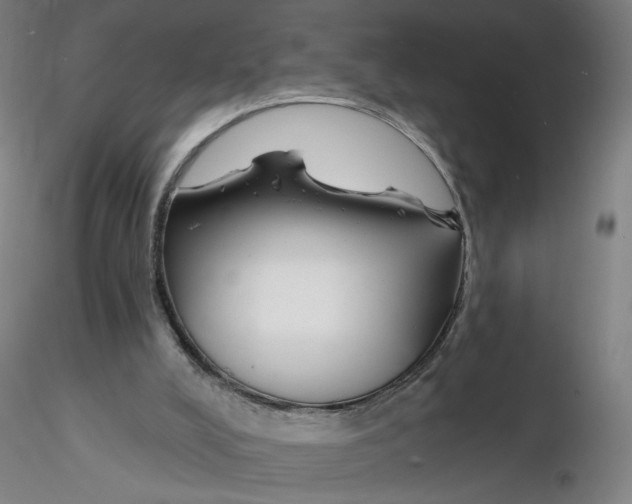 X0000116130008200912211725