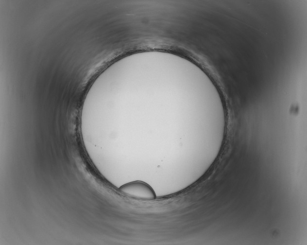 X0000116130010200912211725