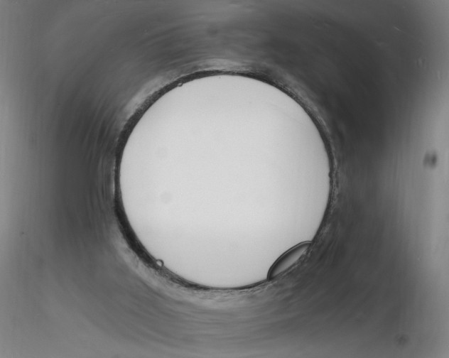 X0000116130011200912211725