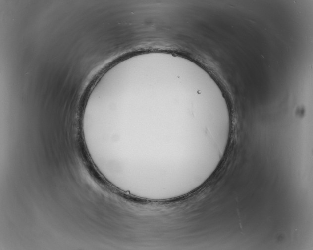 X0000116130012200912211725