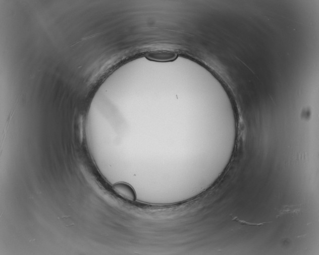 X0000116130013200912211725