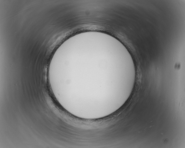 X0000116130014200912211725