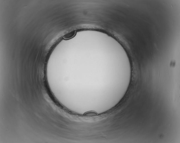 X0000116130015200912211725
