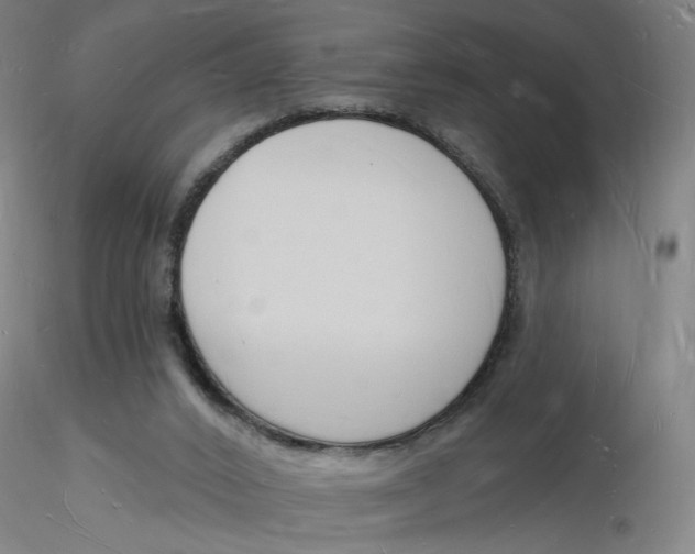 X0000116130016200912211725