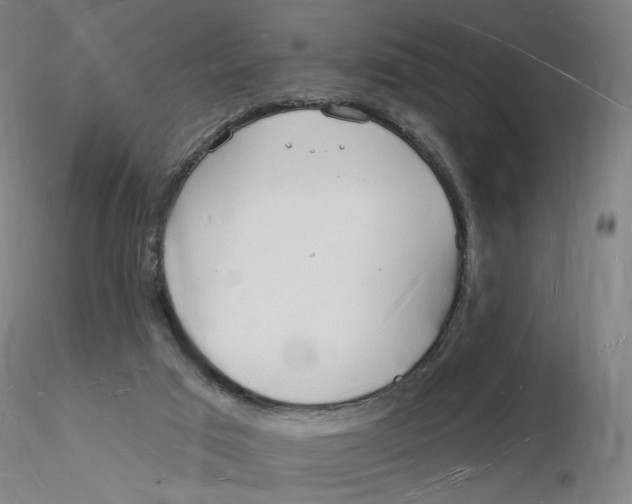X0000116130017200912211725