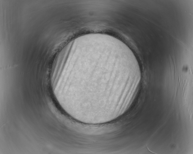 X0000116130018200912211725