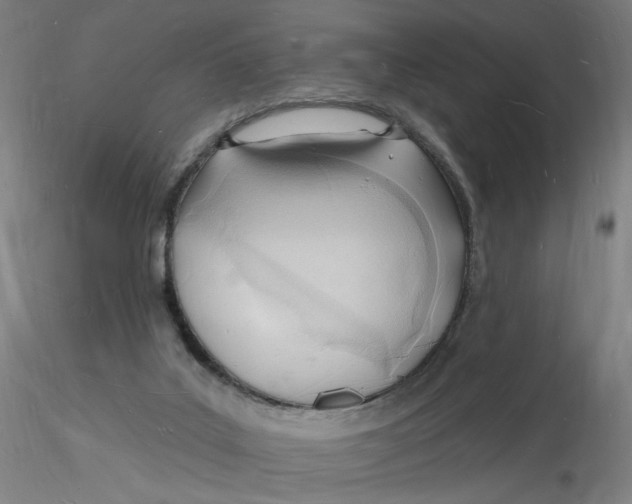 X0000116130019200912211724