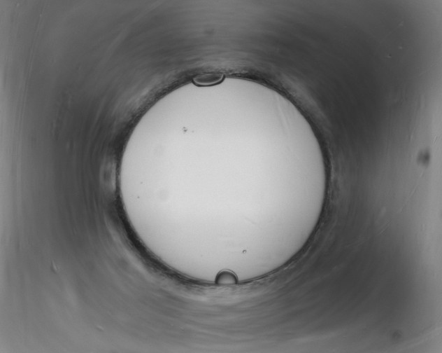 X0000116130021200912211724