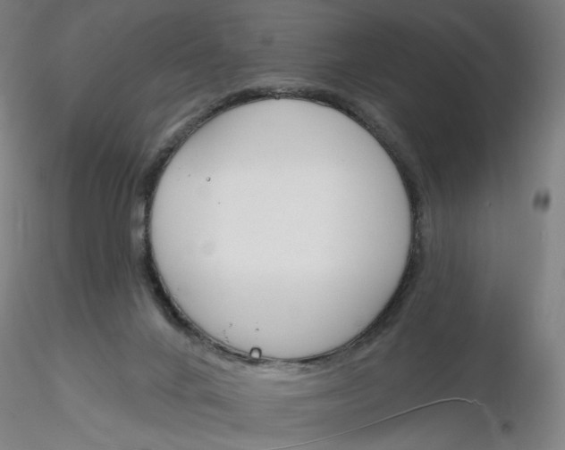 X0000116130024200912211724