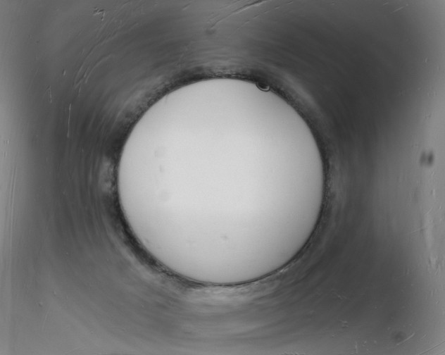 X0000116130025200912211724