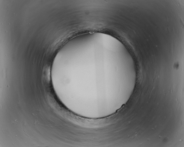X0000116130027200912211724