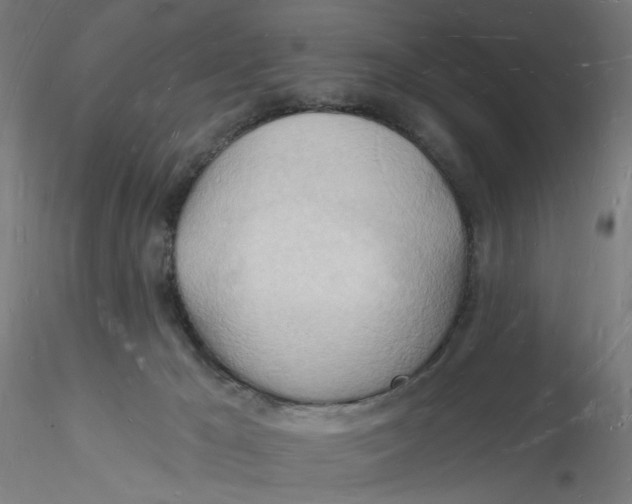 X0000116130029200912211724