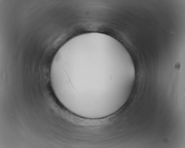 X0000116130031200912211724