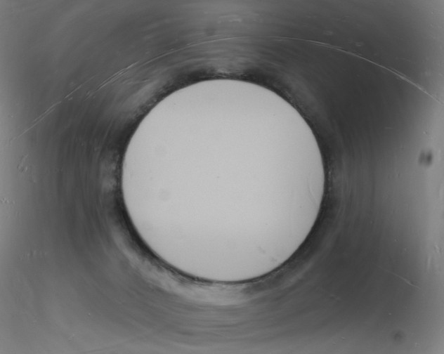 X0000116130032200912211724