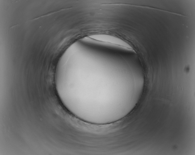 X0000116130035200912211724