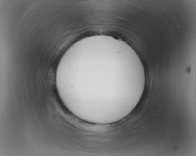 X0000116130036200912211724