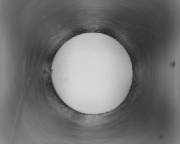 X0000116130037200912211724