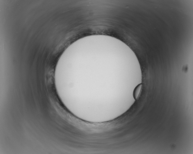 X0000116130038200912211724