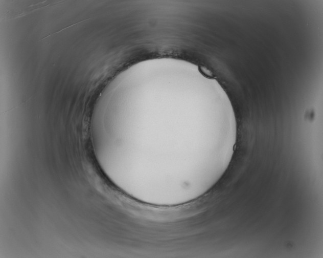 X0000116130039200912211724