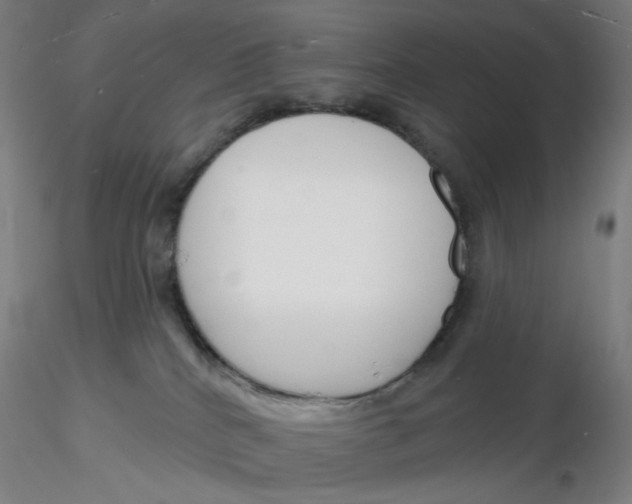 X0000116130040200912211724