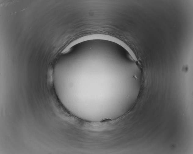 X0000116130041200912211724