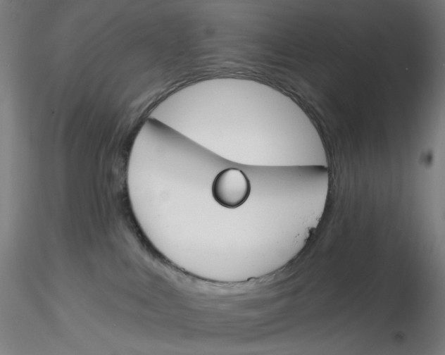 X0000116130043200912211724
