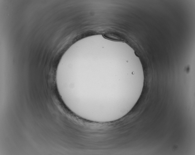 X0000116130044200912211724