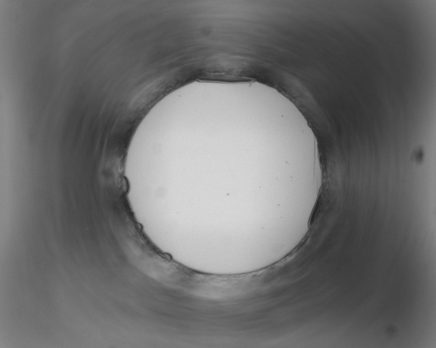 X0000116130045200912211724