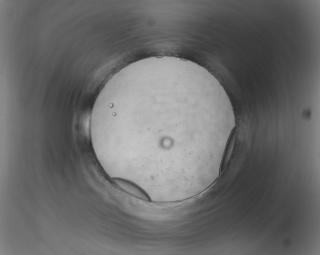 X0000116130047200912211724