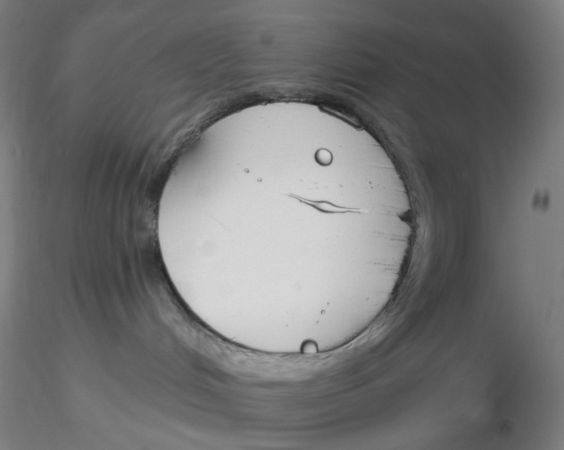 X0000116130048200912211724