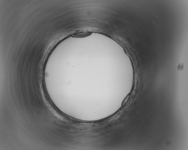 X0000116130049200912211723