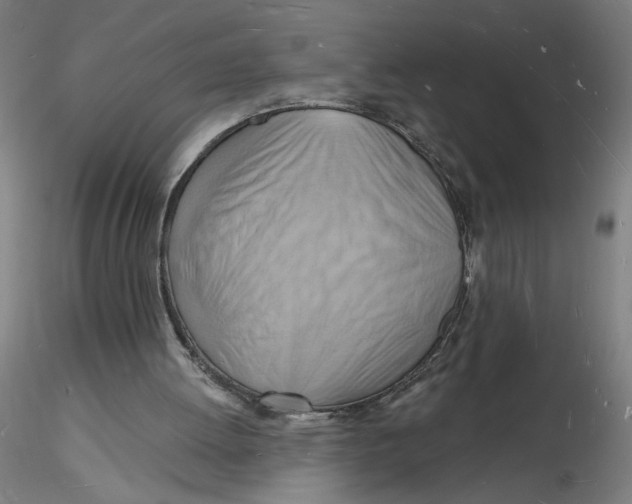 X0000116130052200912211723