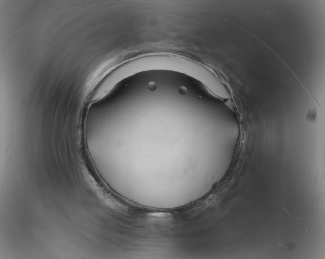 X0000116130053200912211723