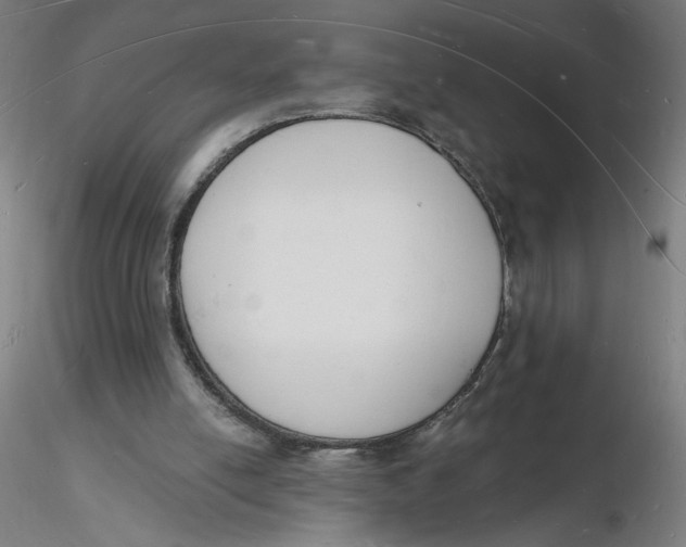 X0000116130054200912211724