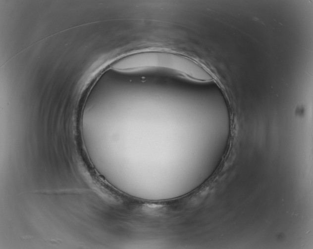 X0000116130055200912211724