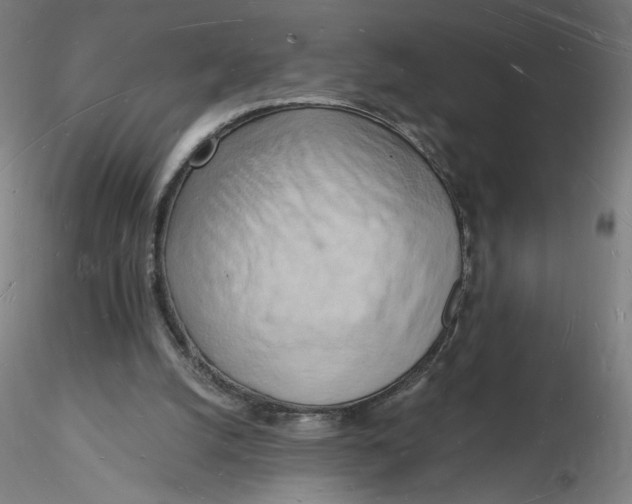 X0000116130056200912211724