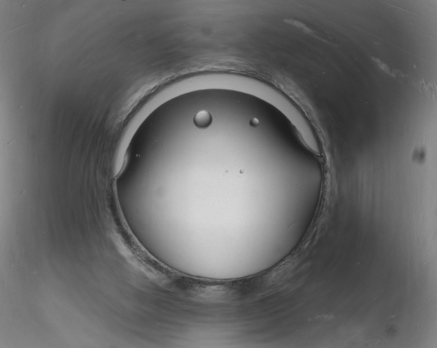 X0000116130058200912211724