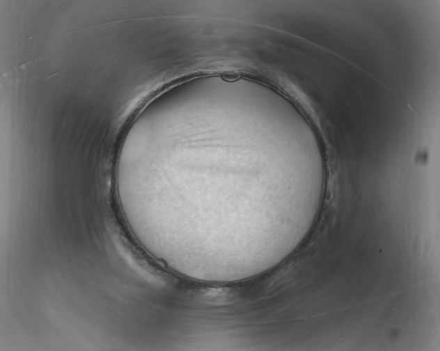 X0000116130059200912211724