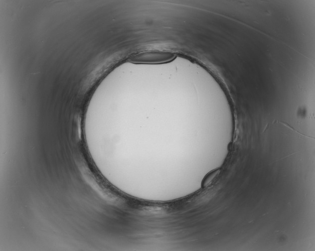 X0000116130061200912211724