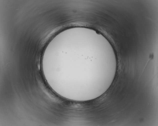 X0000116130062200912211724