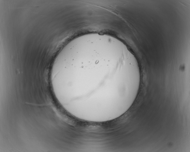 X0000116130066200912211724