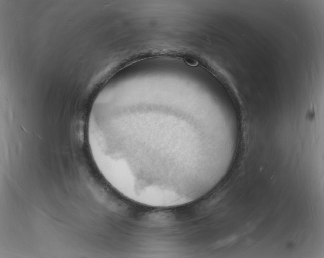 X0000116130067200912211724