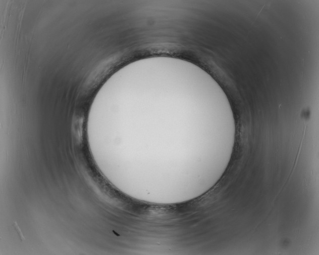 X0000116130070200912211724