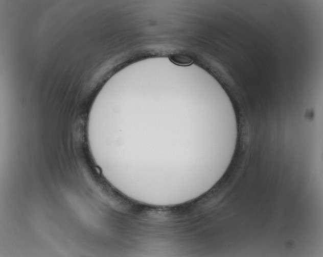 X0000116130071200912211724