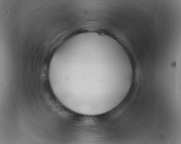 X0000116130073200912211724