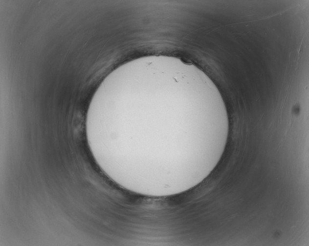 X0000116130077200912211724