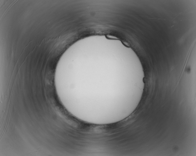 X0000116130078200912211724