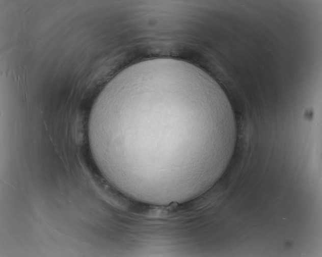 X0000116130080200912211724