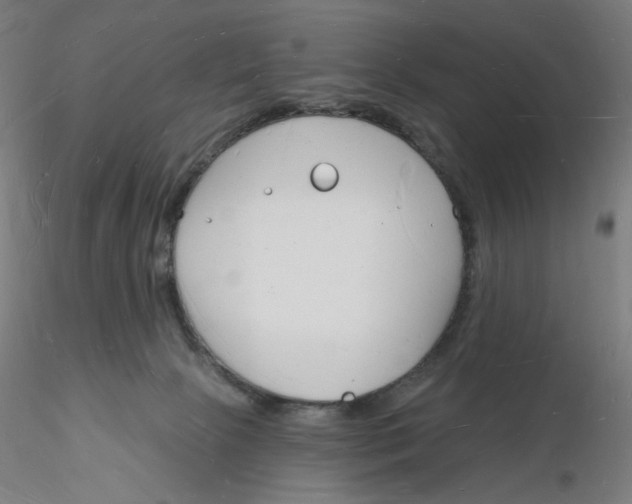 X0000116130081200912211724